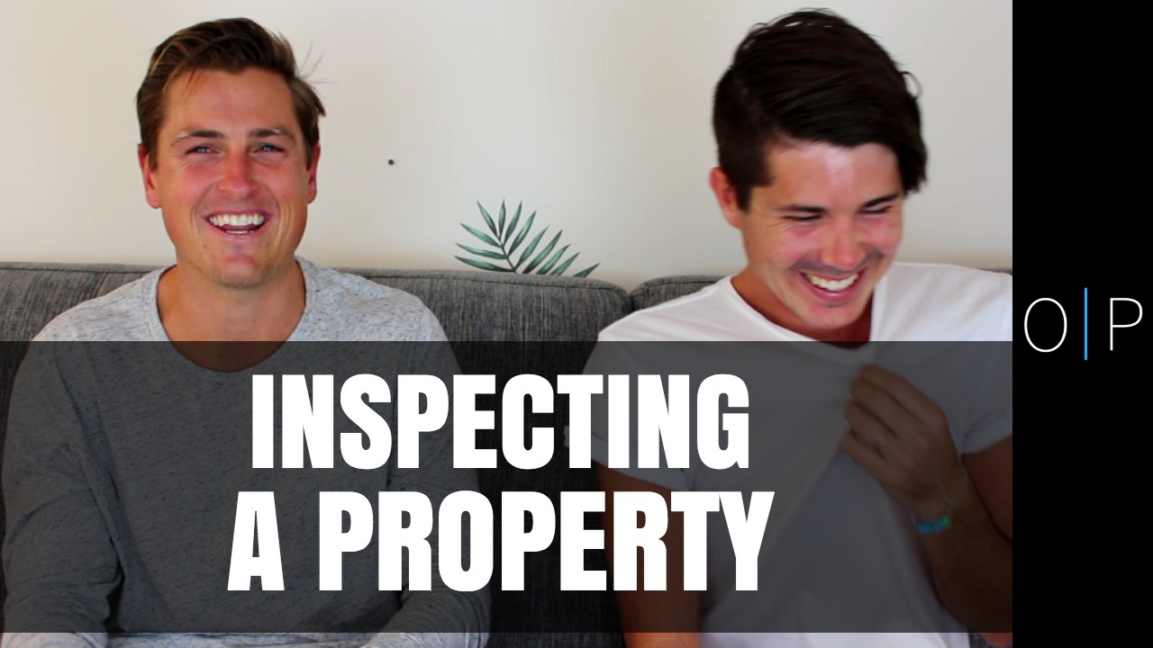 Inspect