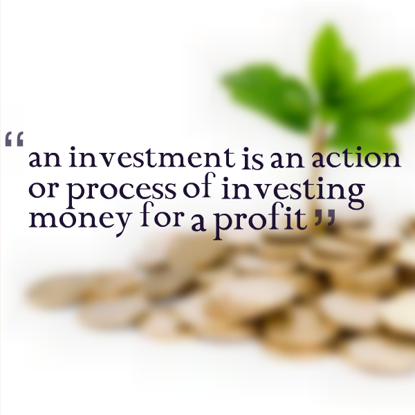 'an investment is an action or process of investing money for a profit'