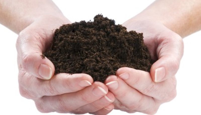 Soil and Contour Test