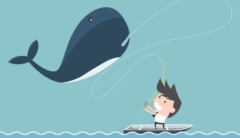 Boy on a boat catching a whale