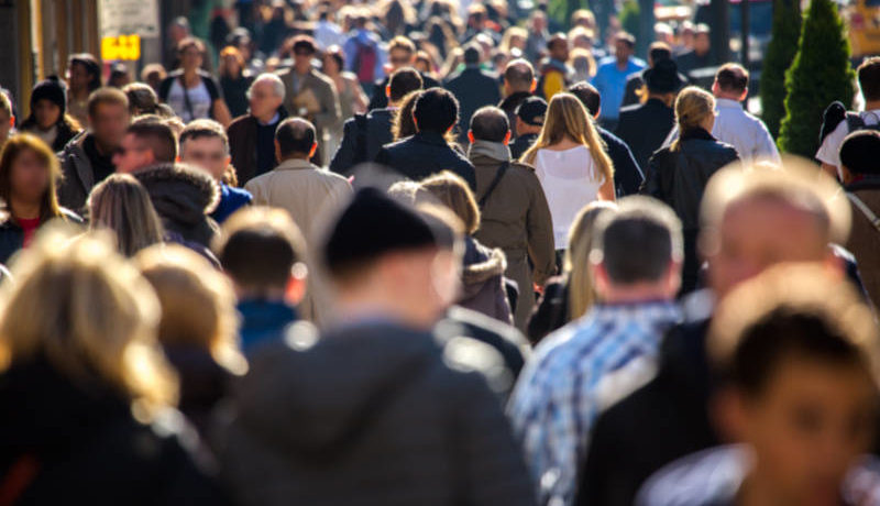 Find out the population and vacancy rates of an area