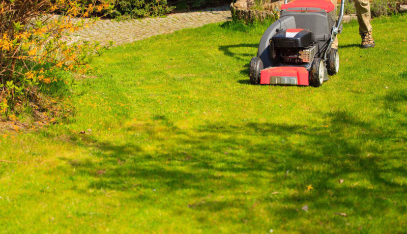 Gardening. Mowing green lawn with red lawnmower