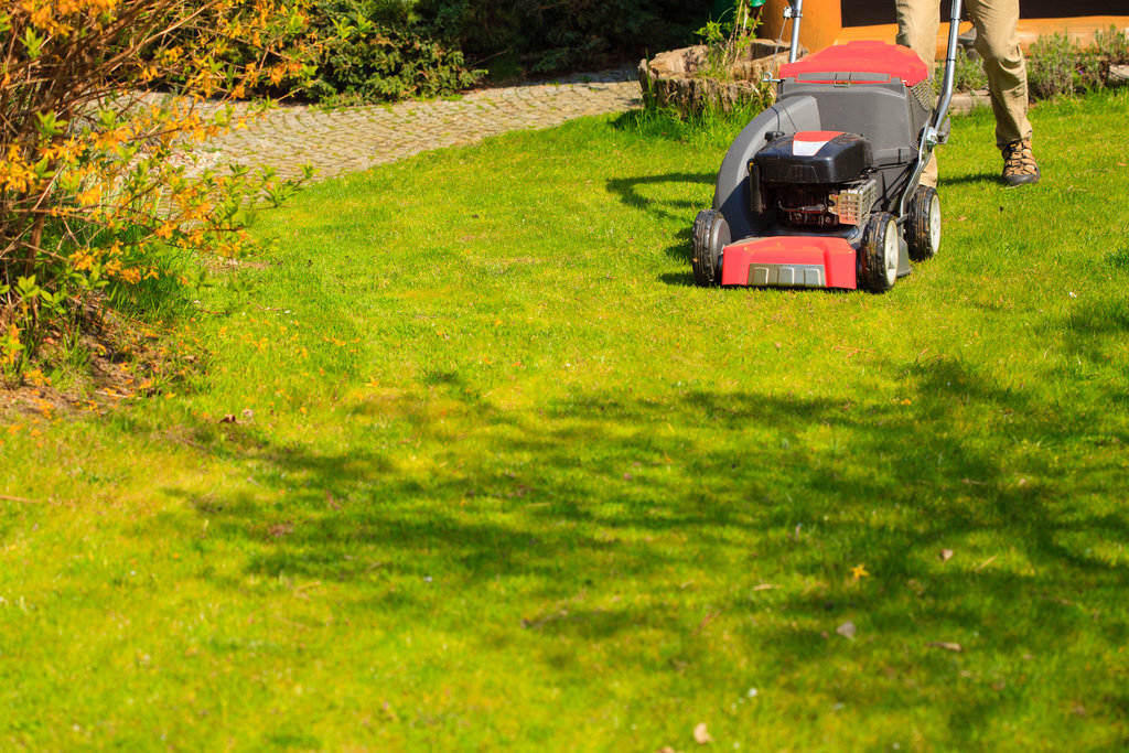 Gardening. Mowing green lawn with red lawnmower