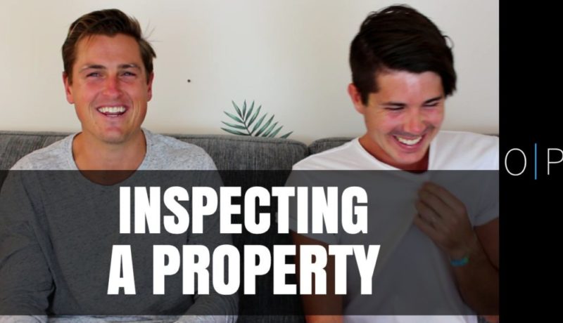 Inspect